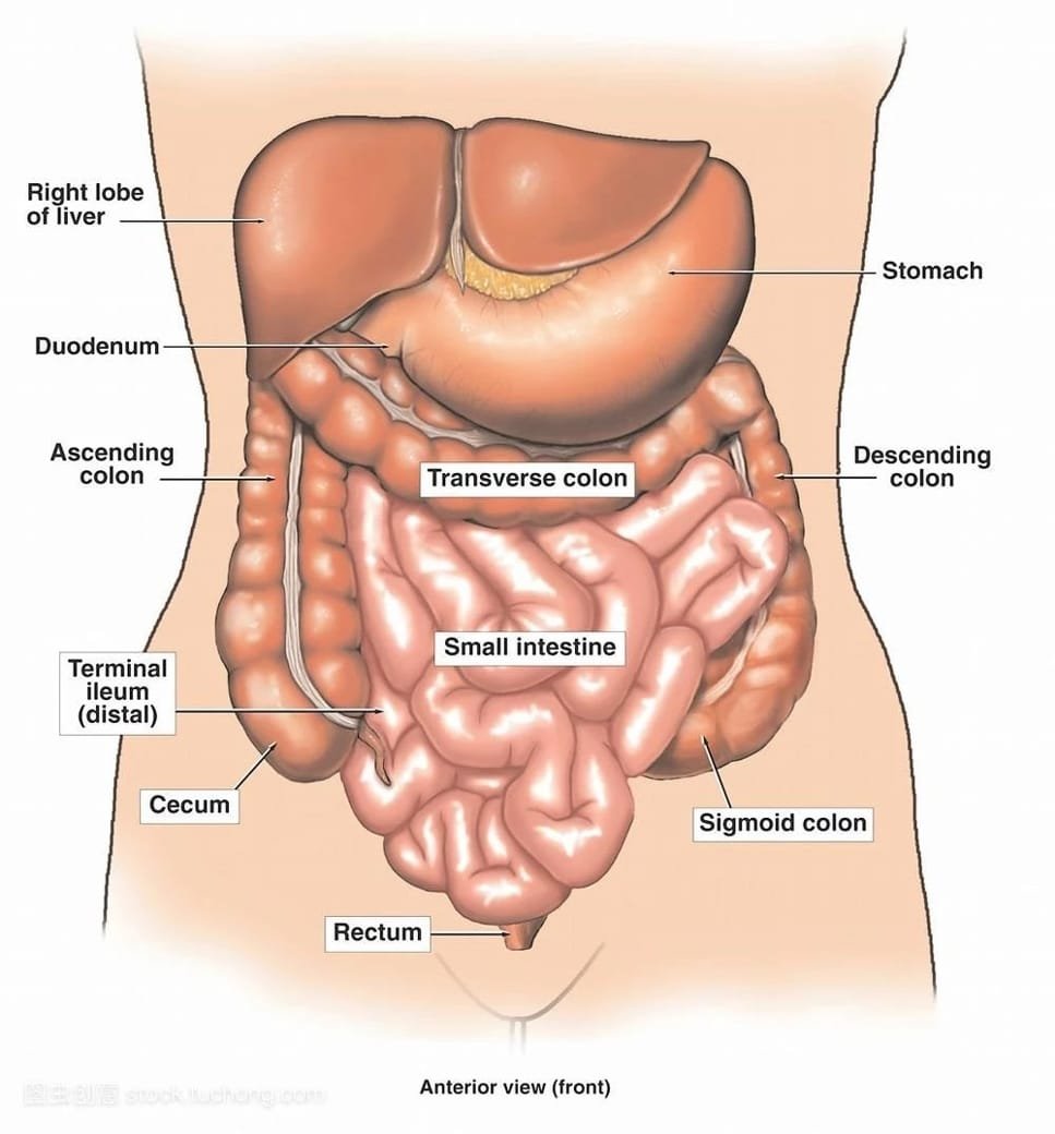 How Colon Hydrotherapy machine work 3